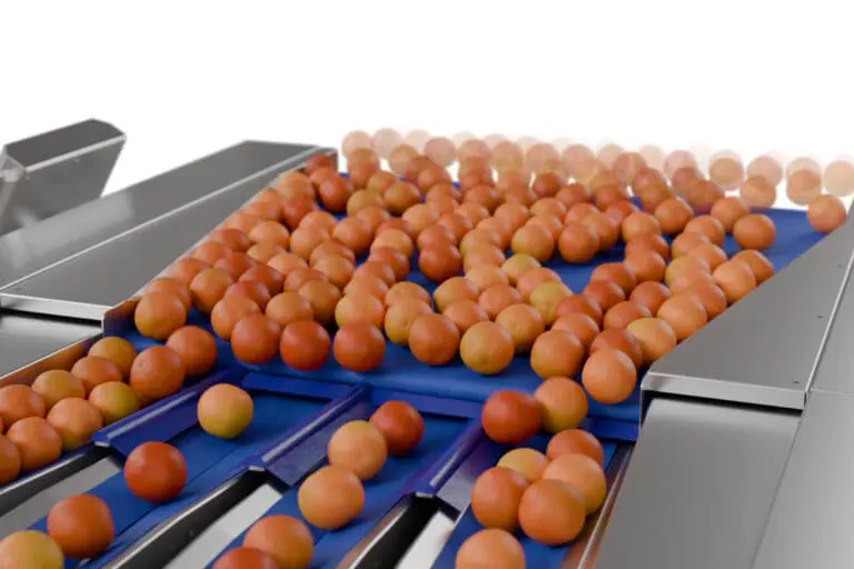 Burg 3D animatie BOSS