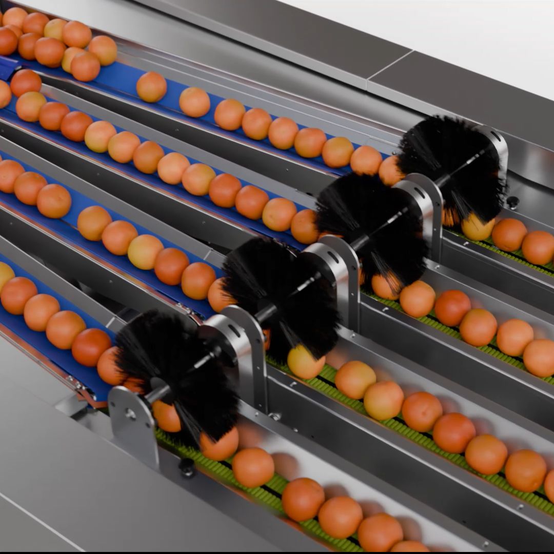 3D-animatie bedrijven | Letink Design